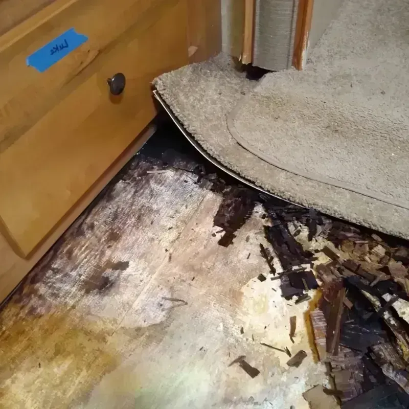 Wood Floor Water Damage in Eaton, CO